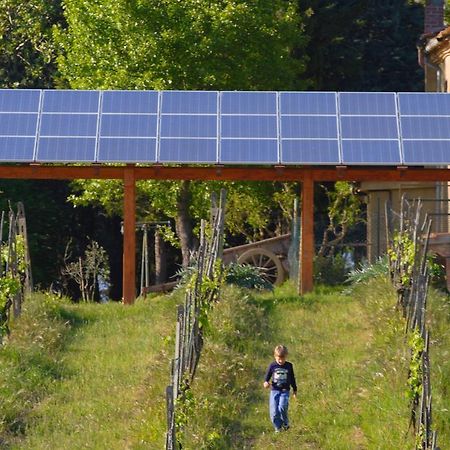 Agriturismo Le Volpaie Βίλα Σαν Τζιμινιάνο Εξωτερικό φωτογραφία